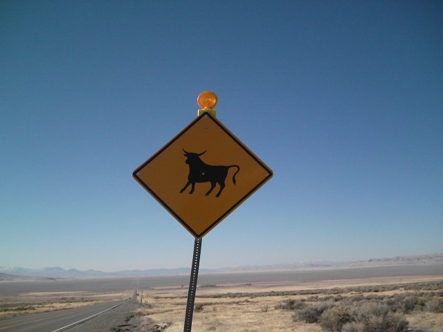 Beware of Bull